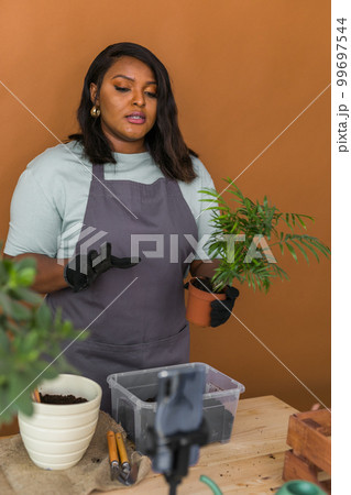 African american girl blogger influencer or SME owner work on home video camera selfie shoot filming take care home plants and transplanting plant in flowerpot. Home gardening and florist concept. African american girl blogger influencer or SME owner work on home video camera selfie shoot filming take care home plants and transplanting plant in flowerpot. Home gardening and florist concept. 99697544