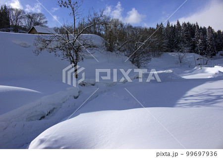 豪雪地の小屋とキリの木、青空に映える雪景色　福島県只見町 99697936