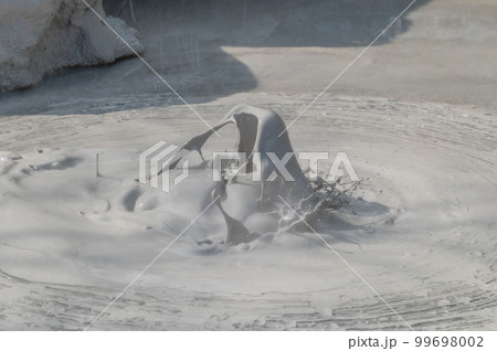 大地の芸術？　別府坊主地獄  99698002