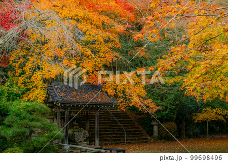 京都西山の金蔵寺の紅葉　手水舎と参道 99698496