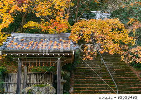 京都西山の金蔵寺の紅葉 手水舎と参道 京都西山の金蔵寺の紅葉 手水舎と参道 99698499