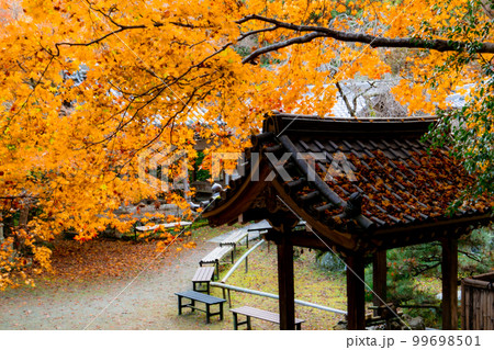 京都西山の金蔵寺の紅葉 手水舎 京都西山の金蔵寺の紅葉 手水舎 99698501