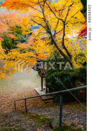 京都西山の金蔵寺の紅葉　手水舎と参道 99698505