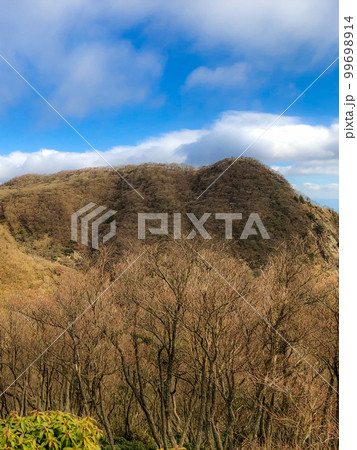 鈴鹿セブンマウンテンの釈迦ヶ岳登山：猫岳から見る釈迦ヶ岳の山頂 99698914