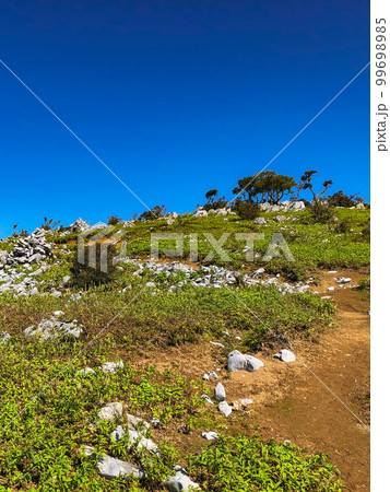 鈴鹿セブンマウンテンの藤原岳登山：藤原岳のカレンフェルト 99698985