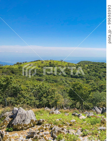 鈴鹿セブンマウンテンの藤原岳登山：藤原岳のカレンフェルト 99698993