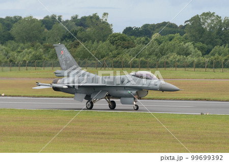 ポーランド空軍F-16Cブロック52+「タイガーデモチーム」 99699392