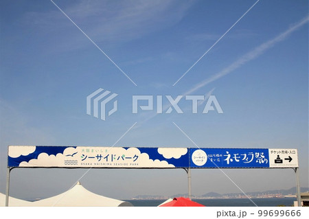 大阪まいしまシーサイドパーク・ネモフィラ祭り 大阪まいしまシーサイドパーク・ネモフィラ祭り 99699666