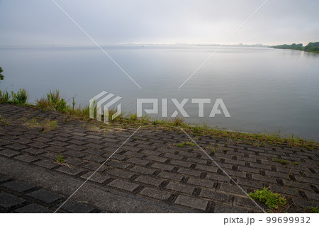 谷中湖　渡良瀬遊水地　早朝の風景　 99699932