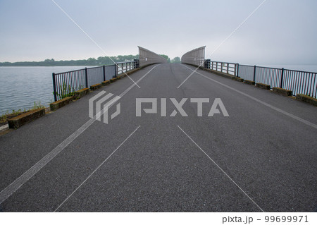 谷中湖 渡良瀬遊水地 早朝の風景 谷中湖 渡良瀬遊水地 早朝の風景 99699971