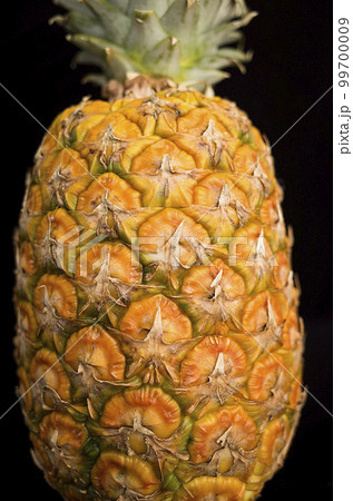 パイナップル 99700009