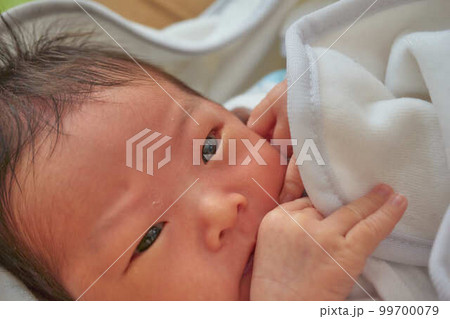 ニューボーンフォト風・新生児のポートレート ニューボーンフォト風・新生児のポートレート 99700079