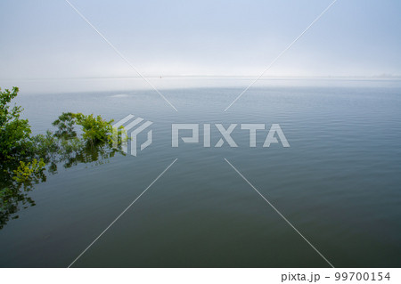 谷中湖　渡良瀬遊水地　早朝の風景　 99700154