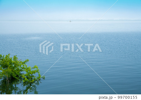 谷中湖　渡良瀬遊水地　早朝の風景　 99700155