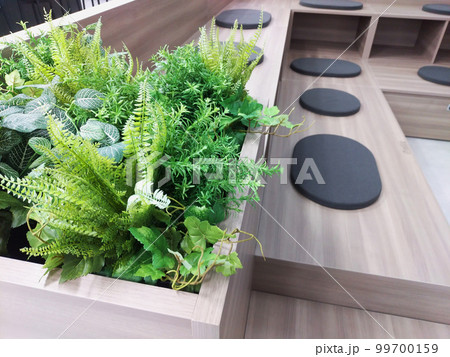 オフィスのストレスのない快適な環境・空間を提供する植物 99700159