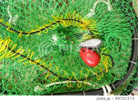 生簀(スカリ)にウキと鉛 生簀(スカリ)にウキと鉛 99701573