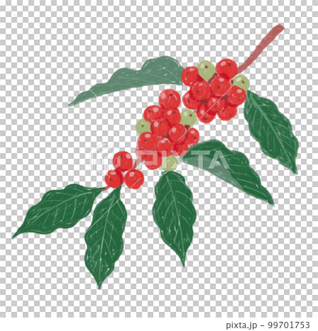 Illustration of coffee beans 99701753