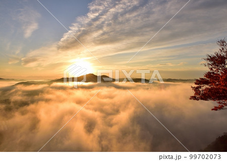 鎌倉山の雲海 鎌倉山の雲海 99702073