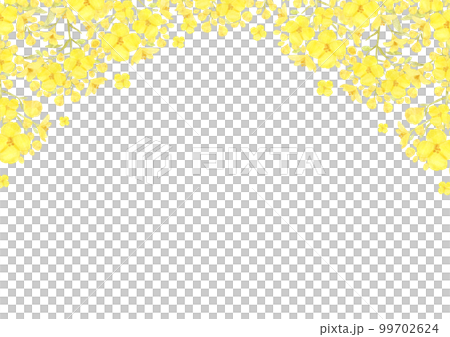 黄色いお花のフレーム 水彩背景素材イラスト 99702624