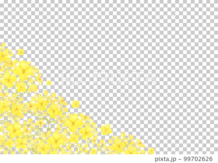 黄色い花のコーナーフレーム 菜の花畑 99702626