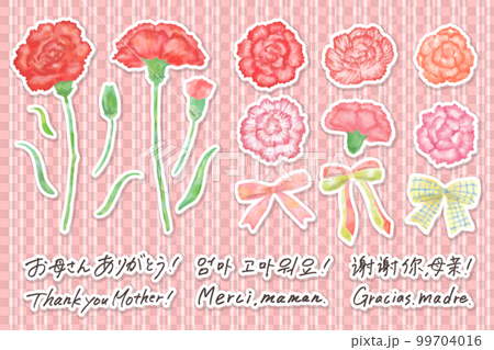 可用於母親節的水彩康乃馨插圖和手寫字符集無主線白色邊框矢量 99704016