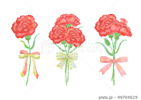 水彩風カーネーションの花束イラストセット 主線なし ベクターの