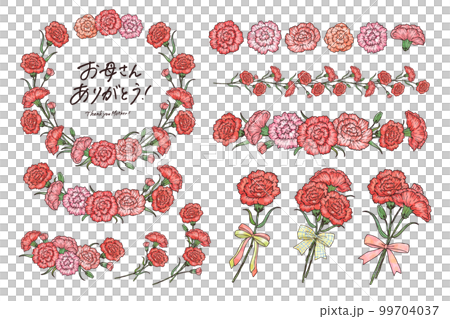 Watercolor style carnation frame and line material illustration set with main line vector Watercolor style carnation frame and line material illustration set with main line vector 99704037
