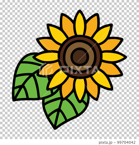Sunflower/summer image Sunflower/summer image 99704042