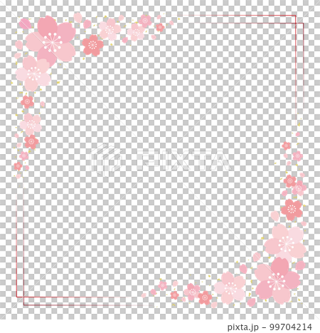 Cherry blossoms and thin line square frame background banner / square / red 99704214