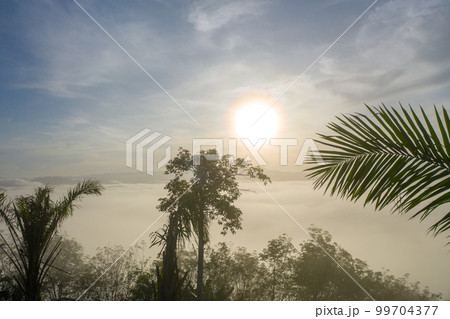 aerial view beautiful yellow sunrise above the mountain in phang Nga valley. slow floating fog blowing cover on the mountain look like as a sea of mist. scenery golden sunrise at horizon background. aerial view beautiful yellow sunrise above the mountain in phang Nga valley. slow floating fog blowing cover on the mountain look like as a sea of mist. scenery golden sunrise at horizon background. 99704377