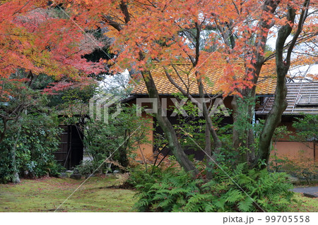 紅葉の時期の茶室（名古屋城　愛知県 名古屋市） 99705558