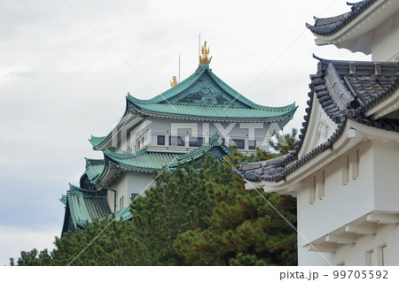 名古屋城と西北隅櫓（愛知県 名古屋市） 99705592