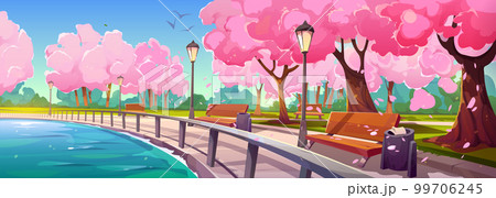 Riverside park with sakura trees along promenade 99706245