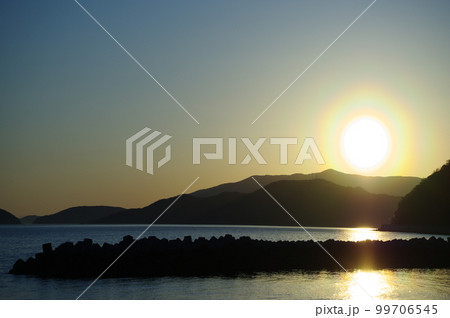 夕方の花粉光環 99706545