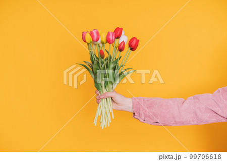 Multicolored blooming tulips in female hand on yellow background 99706618