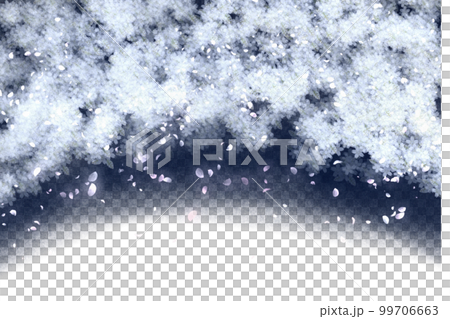雪のような桜 雪のような桜 99706663