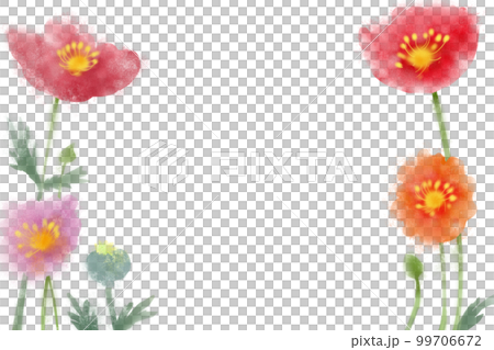 Poppy flower card 2 99706672