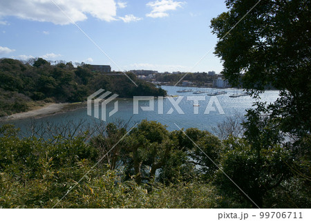 三浦市　諸磯湾の風景 99706711