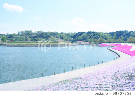 芝桜の風景 99707252