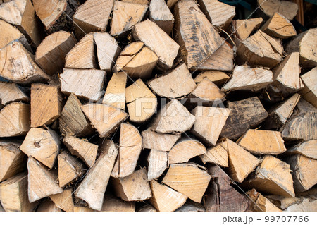 Stacked hornbeam lumber and wood lie in a woodpile. 99707766