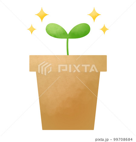 茶色の植木鉢から生えた双葉 99708684