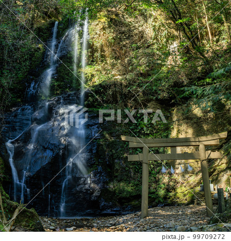 速開都比売神社(はやあきつひめじんじゃ) 奥の宮 鳥居と滝 速開都比売神社(はやあきつひめじんじゃ) 奥の宮 鳥居と滝 99709272
