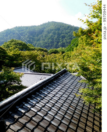 京都 瑠璃光院 屋根の見える風景 京都 瑠璃光院 屋根の見える風景 99709444