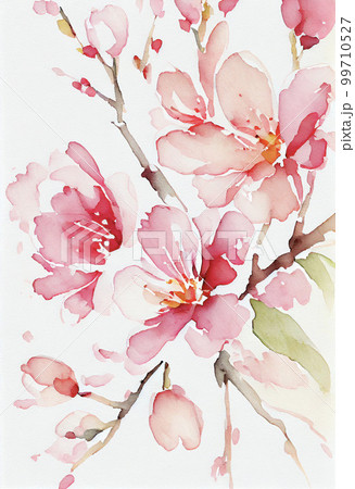 イメージ素材:美しい桜の水彩イラスト イメージ素材:美しい桜の水彩イラスト 99710527