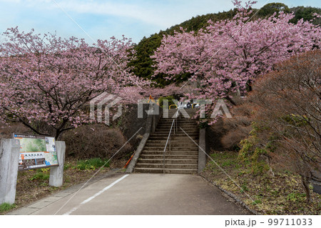 河津七滝無料駐車場 河津七滝無料駐車場 99711033