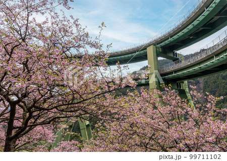 河津七滝ループ橋 99711102