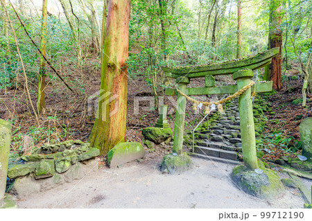 冬の熊野権現熊野神社 鳥居 大分県豊後高田市 冬の熊野権現熊野神社 鳥居 大分県豊後高田市 99712190