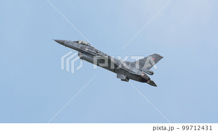 ポーランド空軍F-16Cブロック52+「タイガーデモチーム」 ポーランド空軍F-16Cブロック52+「タイガーデモチーム」 99712431
