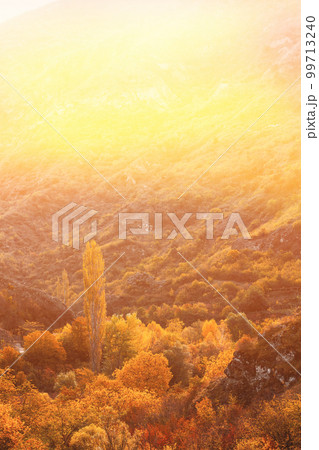Sunset Or Sunrise In Autumn Meadow. Autumn Nature Landscape Under Summer Evening Light. Soft Autumn Shinning Light. Beautiful Scenic View 99713240