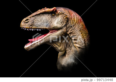 The head of Carcharodontosaurus in the dark , dinosaur on black background 99713440
